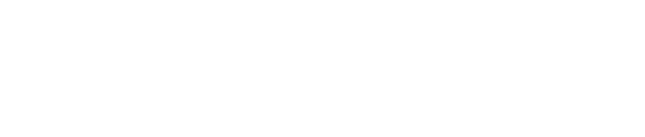 logo-van-rees-automotive_textlogo_wit